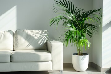 Modern interior of a lounge area showing a sleek white couch alongside a vibrant green houseplant