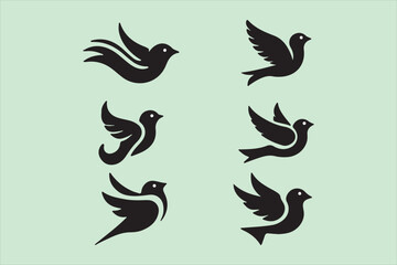 Fototapeta premium Bird 5