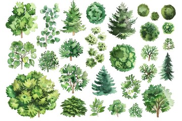 In this watercolor illustration, various green trees, bushes, and shrubs are depicted from a top view, perfect for landscape design plans. The image is isolated on a white background