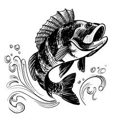 Fish in water. Hand drawn ink black and white illustration
