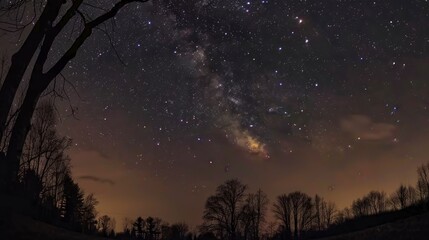 beautiful starry night without light pollution