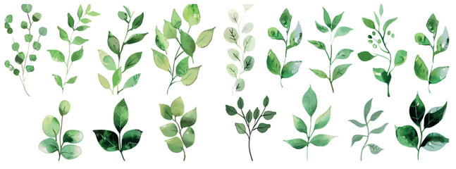 The greenery illustration is a watercolor floral set composed of branches, leaves, twigs, and so on.