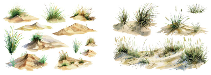Hand drawn watercolor illustration of coastal dune and sea grass isolated on white