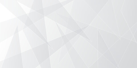 White and gray minimal futuristic concept simple line background. abstract triangle lines shape modern Geometry style shine and layer element vector for presentation ,banner background template.