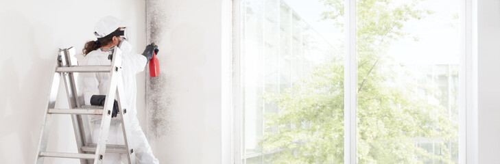 Naklejka premium Professional mold removal service: Worker on ladder wearing protective suit, spraying product to clean moldy wall before room painting work. Home refurbishment site with window showing green ambience