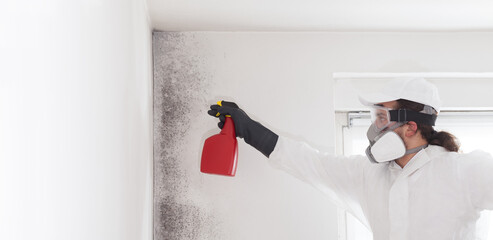 Professional mold removal service: worker on ladder wearing protective suit, spraying product to...