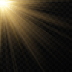 Shining golden star. Light Effect Bright Star, Christmas Star. Gold glowing light explodes. Vector transparent sunlight with special lens flare effect. Flash light effect with special lens. 