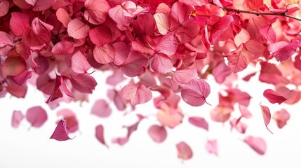 Fototapeta premium Many tender pink petals randomly flying in the air.