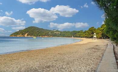 Koukounaries beach on the island of Skiathos Greece