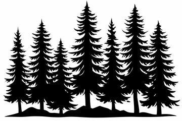 Pine tree silhouettes, Fir trees silhouette. Evergreen forest firs and spruces black shapes, wild nature trees templates. Vector illustration woodland trees set on white background