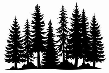 Pine tree silhouettes, Fir trees silhouette. Evergreen forest firs and spruces black shapes, wild nature trees templates. Vector illustration woodland trees set on white background
