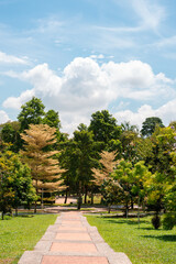 Taman Putra Perdana green forest park in Putrajaya, Malaysia