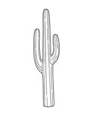 Desert cactus. Hand drawn illustration in sketch style.
