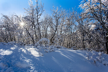 Neve 
