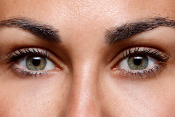 beautiful green eyes of a brunette woman with a dark brown hair