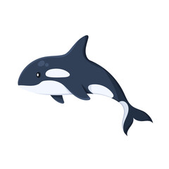 Killer whale funny vector icon image