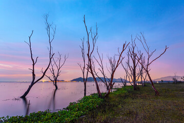 Twilight Landscape with Bare Trees in Water