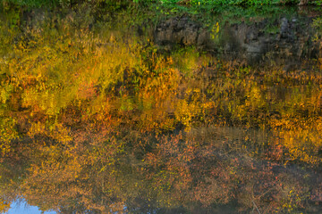 Autumn Landscape. Autumn trees in the park at the sunset
