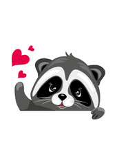 Peeking cute raccoon with hearts