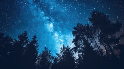 Fototapeta premium Stunning Milky Way Overnight Landscape