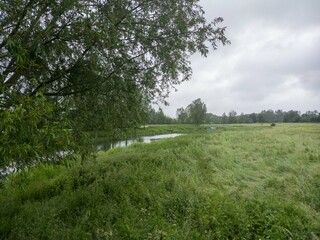 The River Stour at Bures on the Essex/Suffolk border
