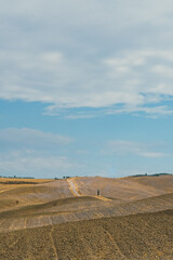 Fototapeta premium summer view in Toscana 