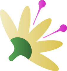 yellow flower on white background, Bright tropical flowers. Botanical painting, illustrations yellow flower branch