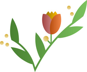 vector illustration of tulip flowers