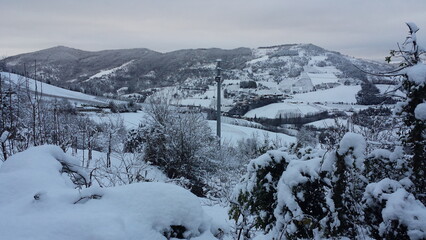 Naklejka premium italian hill and vineyard frozen