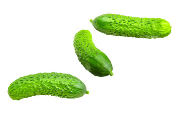 Young fresh cucumbers isolated on a transparent background.