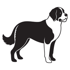 saint bernard dog isolated white vector illustration