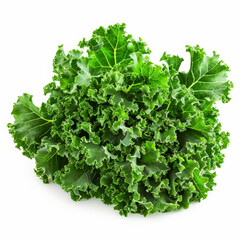 Fototapeta premium A bunch of leafy green kale with ruffled edges, isolated on white background