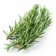 Fototapeta premium A bunch of fresh, green rosemary with dewy sprigs, isolated on white background