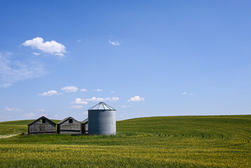 Alberta prairie landscape with granaries