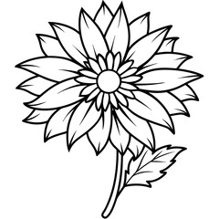 gaillardia flowers line art illustration