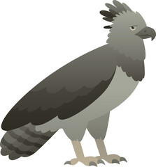 Vector illustration of grey harpy eagle side view. Wild American black and white bird of prey isolated on white background. Predatory carnivores hawk standing.