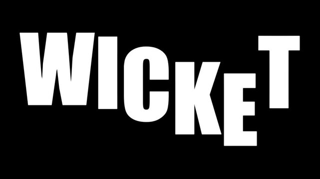 Wicket cricket matches animation vedio full HD 4k 