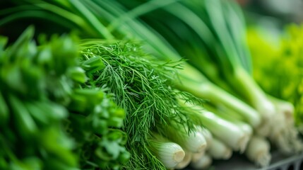 Fototapeta premium Fresh dill and green onions on a kitchen counter