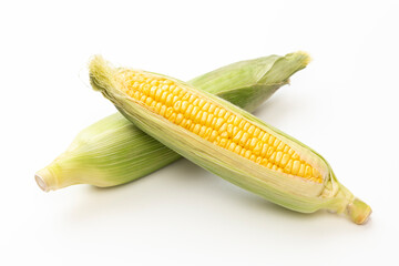 白背景に新鮮なトウモロコシ