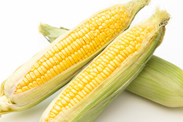 白背景に新鮮なトウモロコシ