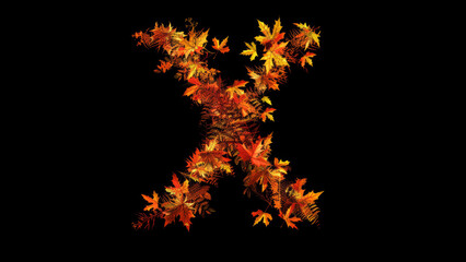 Autumn leaves forming the letter X