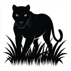 a black panther stalking through long grass