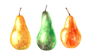 Hand drawn watercolor green, yellow and orange pear fruit set illustration.