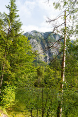Bergpanorama und Naturwunder: Die Koppenwinkellacke in Obertraun, Salzkammergut, Österreich