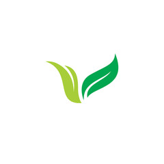 V Leaf Logo Template. Letter V Icon