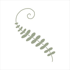 Tropical plant leaves. Hand drawn plants vector illustration