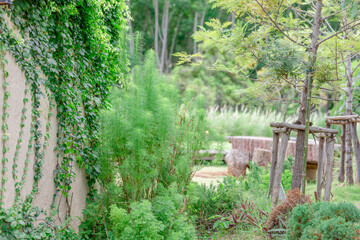 panoramic background of high mountain scenery, overlooking the atmosphere of the sea, trees and wind blowing in a cool blur, spontaneous beauty