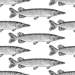 Vintage Style Pike Seamless Pattern. Vector Hand Drawn Fish Background. High Quality Old Fashion Illustration