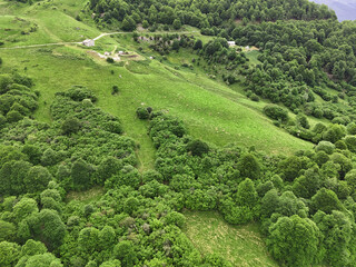 Colline verte de montagne