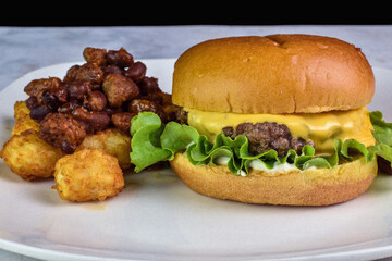 cheese burger tater tots top with chilli